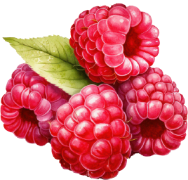 frambuesa icon